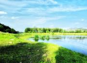 【好名声网】就像爱情（文/韩辉升）