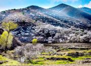 【好名声网】乡土（三）（文/韩辉升）