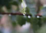 【好名声网】时间之水（文/韩辉升）