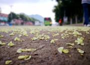 【好名声网】小时候（文/韩辉升）