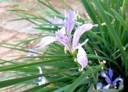 【好名声网】恍惚（文/韩辉升）