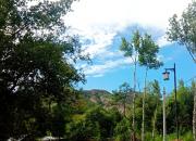 【好名声网】那只鸟正在喊我（文/韩辉升）