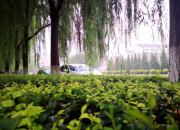 【好名声网】旧衣服（文/韩辉升）