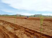 【好名声网】种地的那个我（文/韩辉升）