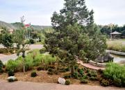 【好名声网】领来童年（文/韩辉升）