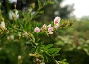 【好名声网】惊蛰（文/韩辉升）