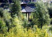 【好名声网】蚂蚁（文/韩辉升）