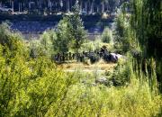 【好名声网】你是其中最快乐那一个（文/韩辉升）