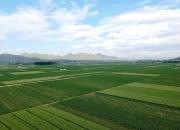 【好名声网】弟弟的执拗（文/韩辉升）