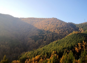 【好名声网】故事山（组诗节选·七）（文/韩辉升）