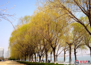 【好名声网】故事山（组诗节选·九）（文/韩辉升）