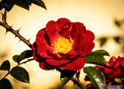 【好名声网】故事山（组诗节选·十）（文/韩辉升）