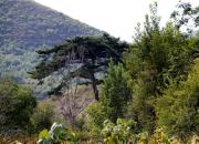 【好名声网】故事山（组诗节选·十九）（文/韩辉升）