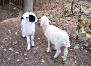 【好名声网】故事山（组诗节选·十二）（文/韩辉升）