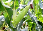 【好名声网】故事山（组诗节选·二十一）（文/韩辉升）